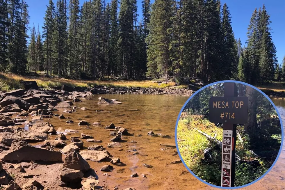 Photos: Enjoy the Fall Weather on Grand Mesa’s Mesa Top Trail