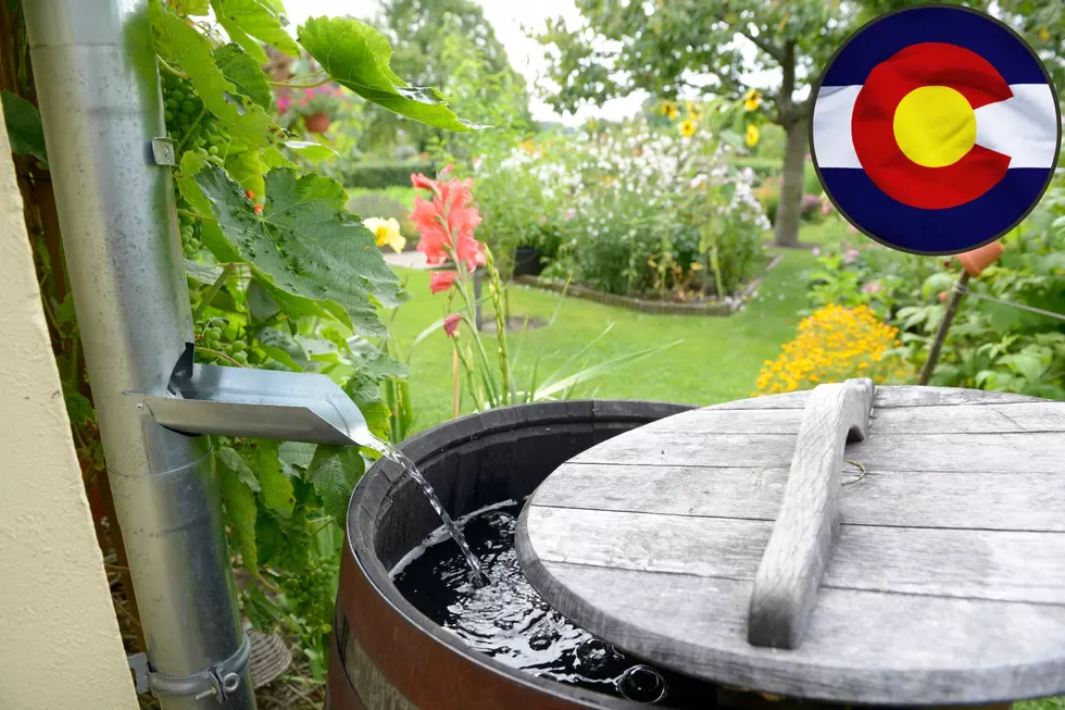 Is It Illegal To Collect and Save Rainwater in Colorado?